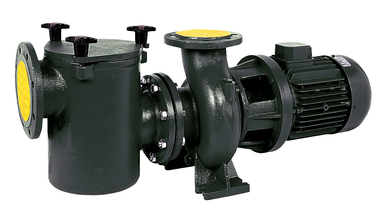 Насос Saci CF-2 300 с префильтром 51 м³/ч, 2.50/2.20 кВт, 3~ Y/∆ 400/230 В, чугун (27100036)